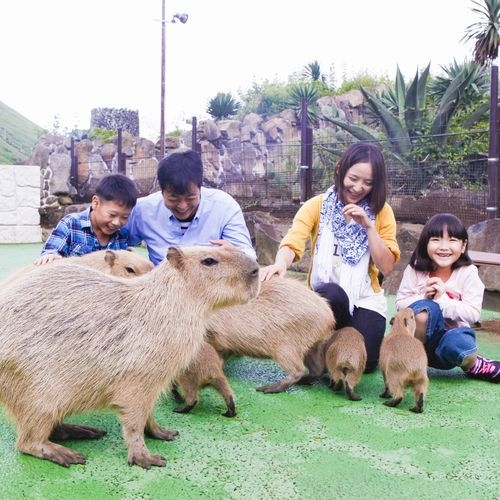 伊東で遊ぼう「伊豆シャボテン動物公園」入園券付きプラン　（朝食付き）