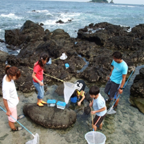 磯あそびで海のお勉強