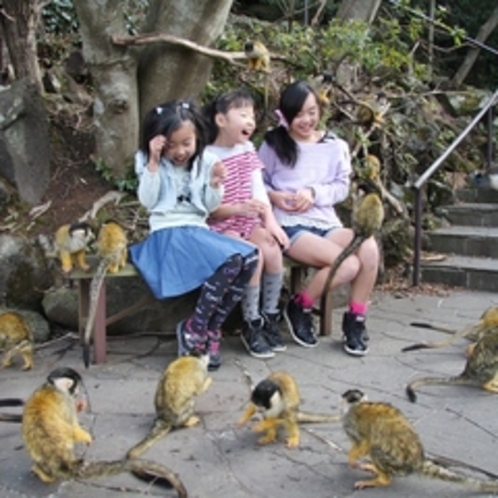 リスザルに囲まれて　シャボテン公園