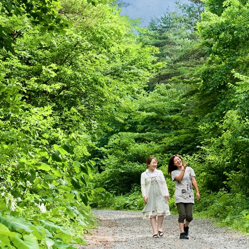 *[施設一例]岩手山の豊かな森の中にあり、散策しながら森林浴を楽しめます。
