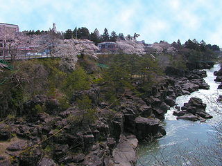 桜の厳美渓