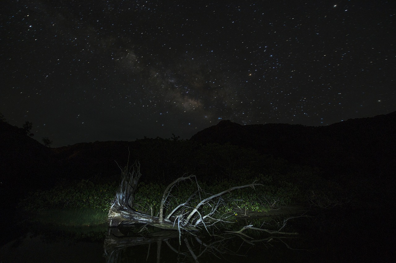 夏の星空