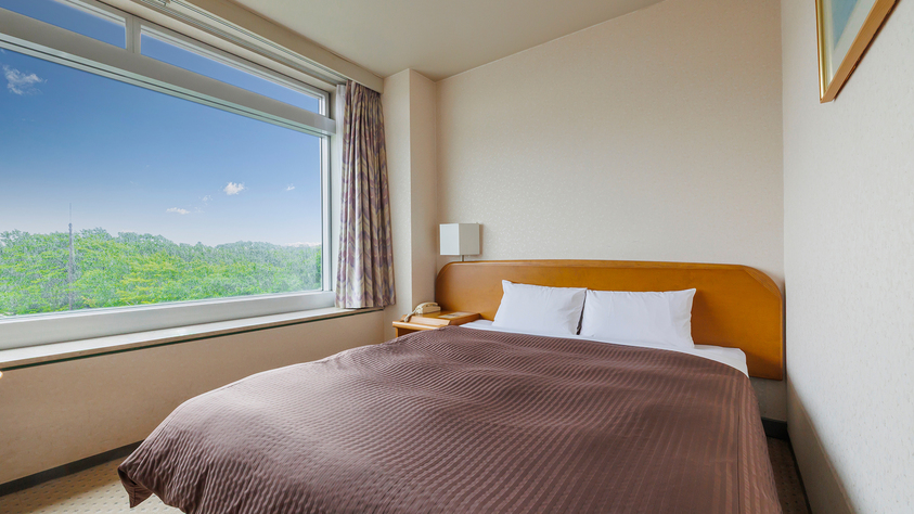 【スタンダードダブル】18平米／ダブルベッド×1