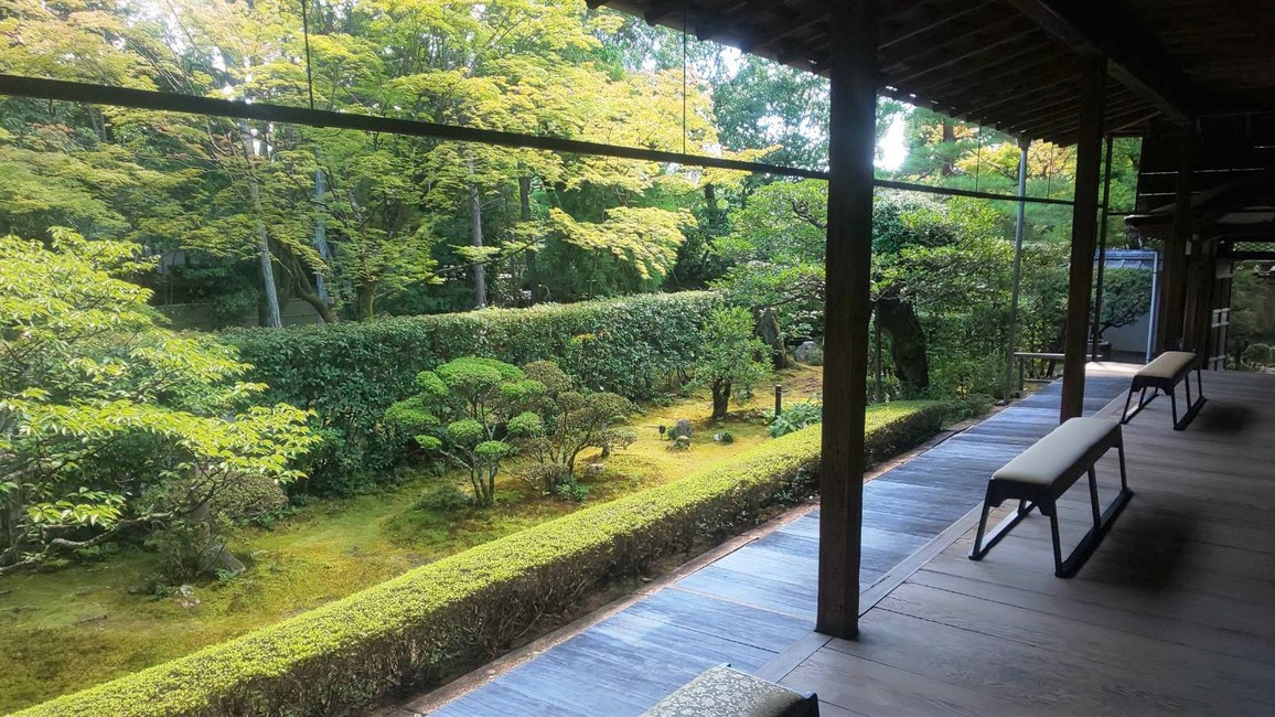 妙心寺塔頭【桂春院】でお庭を楽しむ宿泊プラン【朝食付】