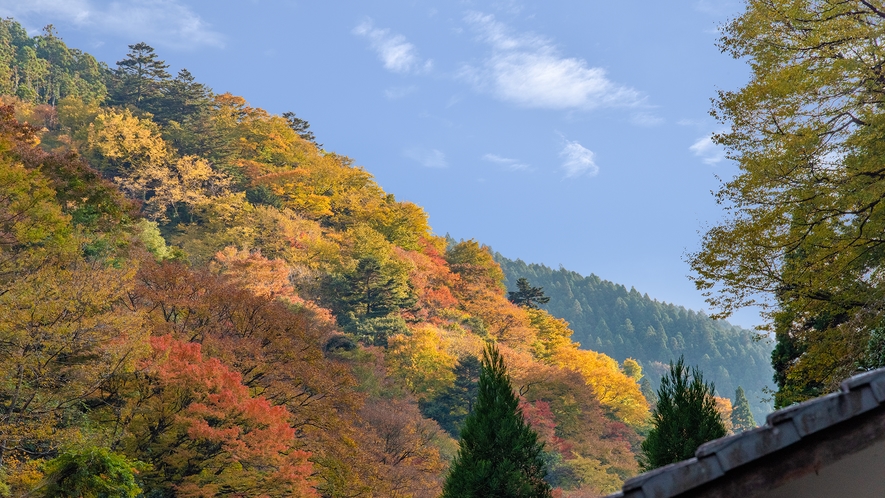 *【和室・まつ】秋の客室からの風景