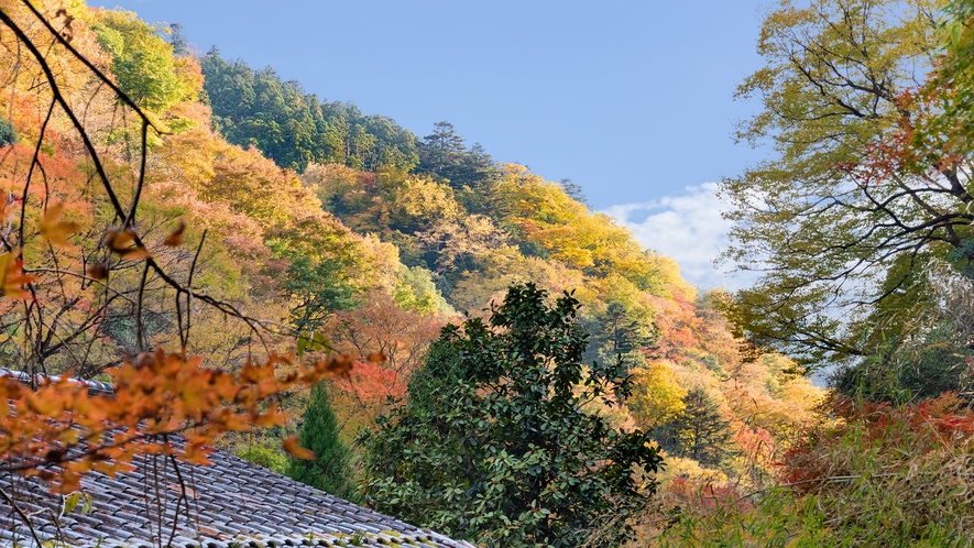 *【和室・うめ】秋の客室からの風景