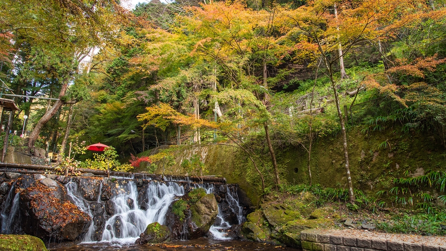 *【周辺・秋】貴船川の紅葉