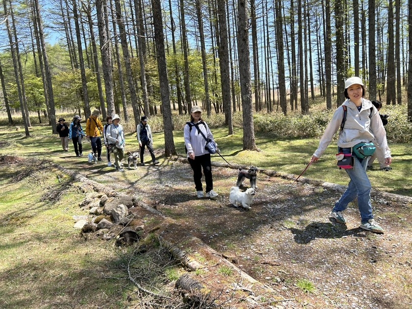 【晩夏限定】愛犬と過ごす涼しい森の晩夏プラン 選べる特典付