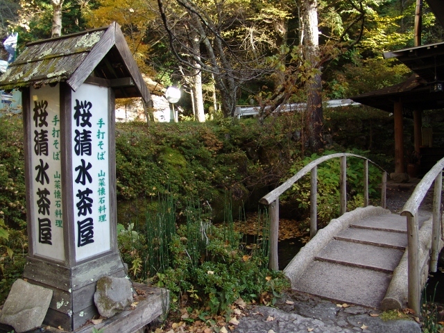 清水樱花茶屋 名水 清水樱花手工荞麦面