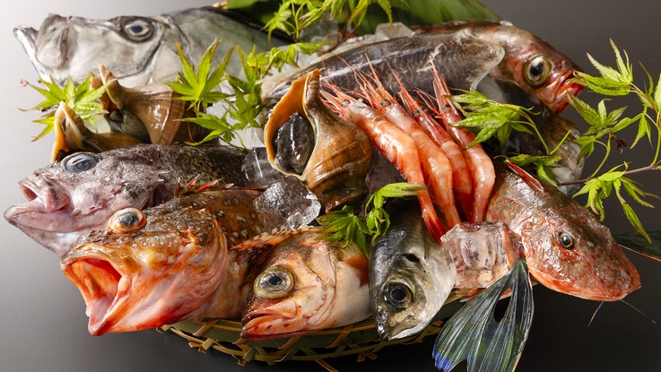 【満足度No.1：宝石舟会席】＜個室食確約＞舟盛りひとり一台！富山湾朝獲れの「きときと鮮魚」