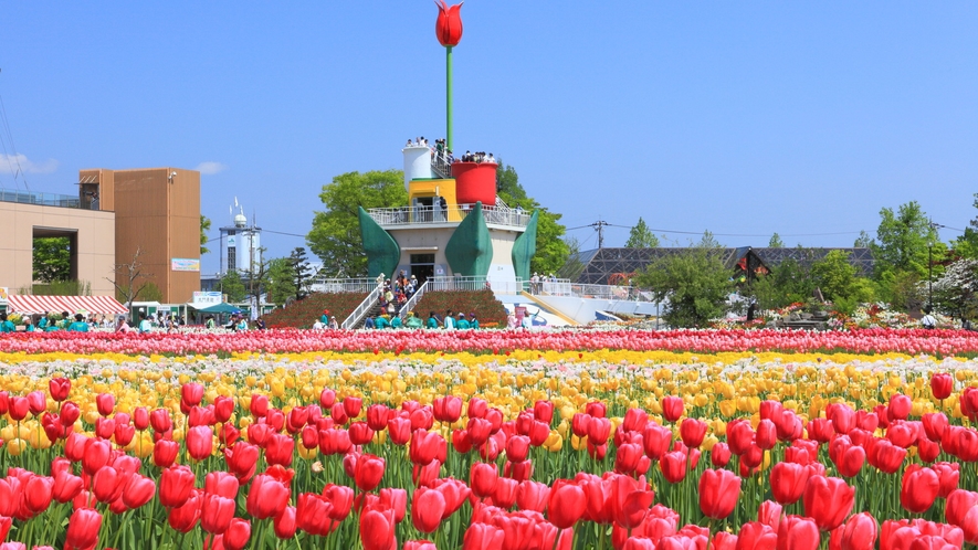 砺波チューリップ公園◆チューリップフェア