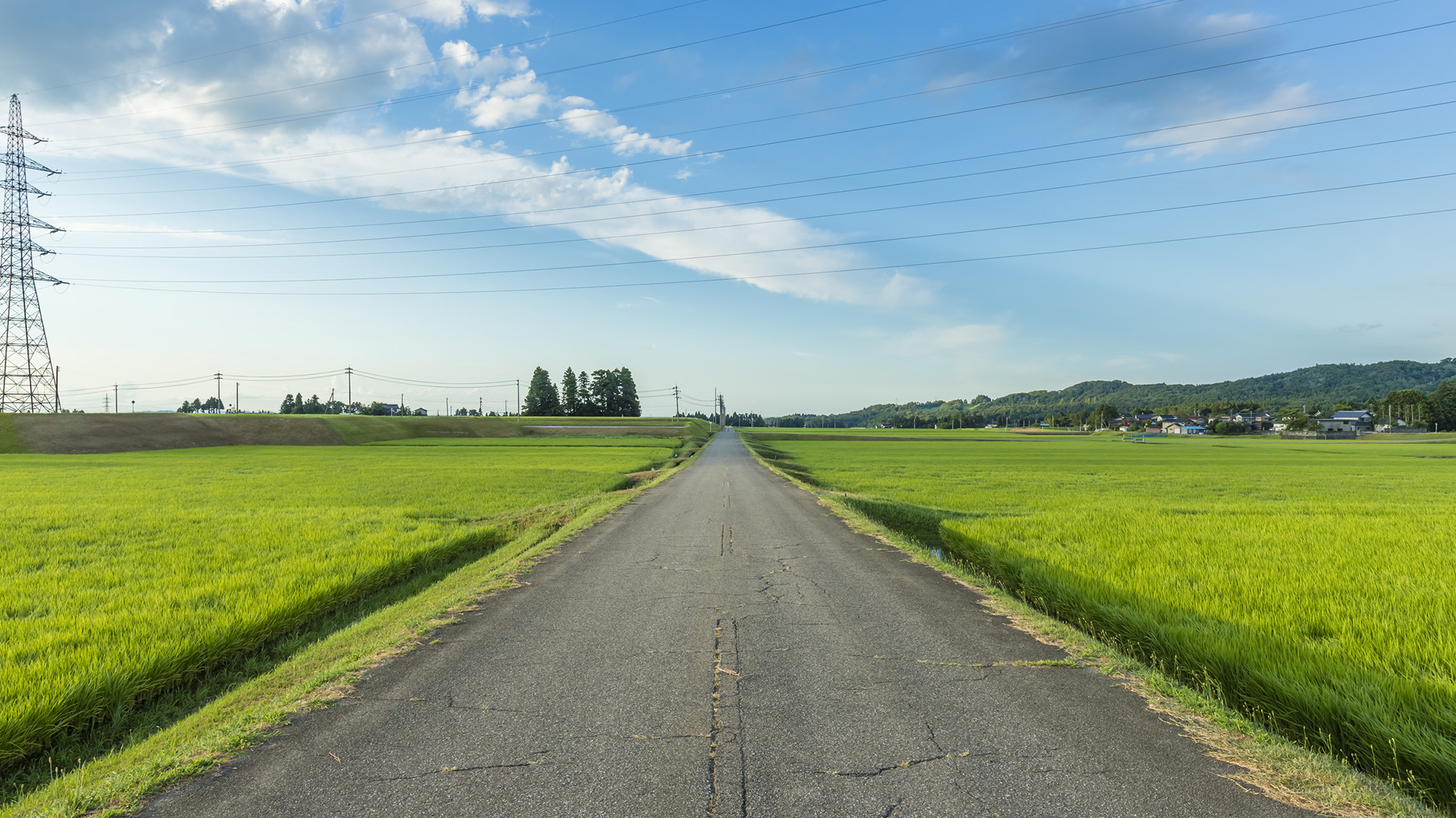 【里山の景色】大きく広がる空に、豊かな実り。日本の原風景に魅せられます。