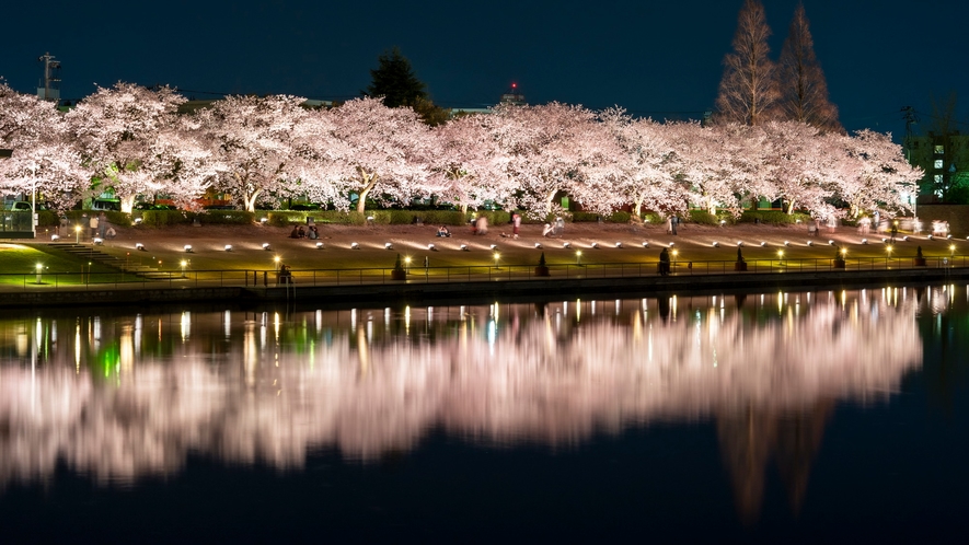富岩運河環水公園と夜桜ライトアップ