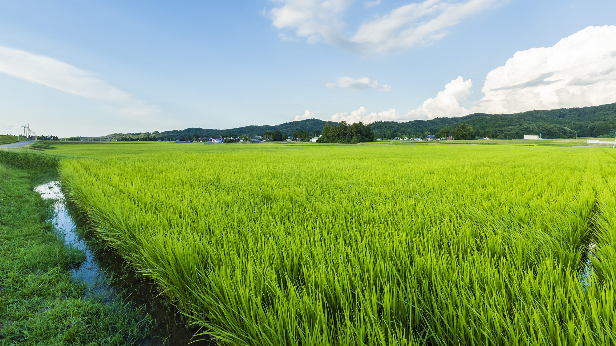 【里山の景色】大きく広がる空に、豊かな実り。日本の原風景に魅せられます。