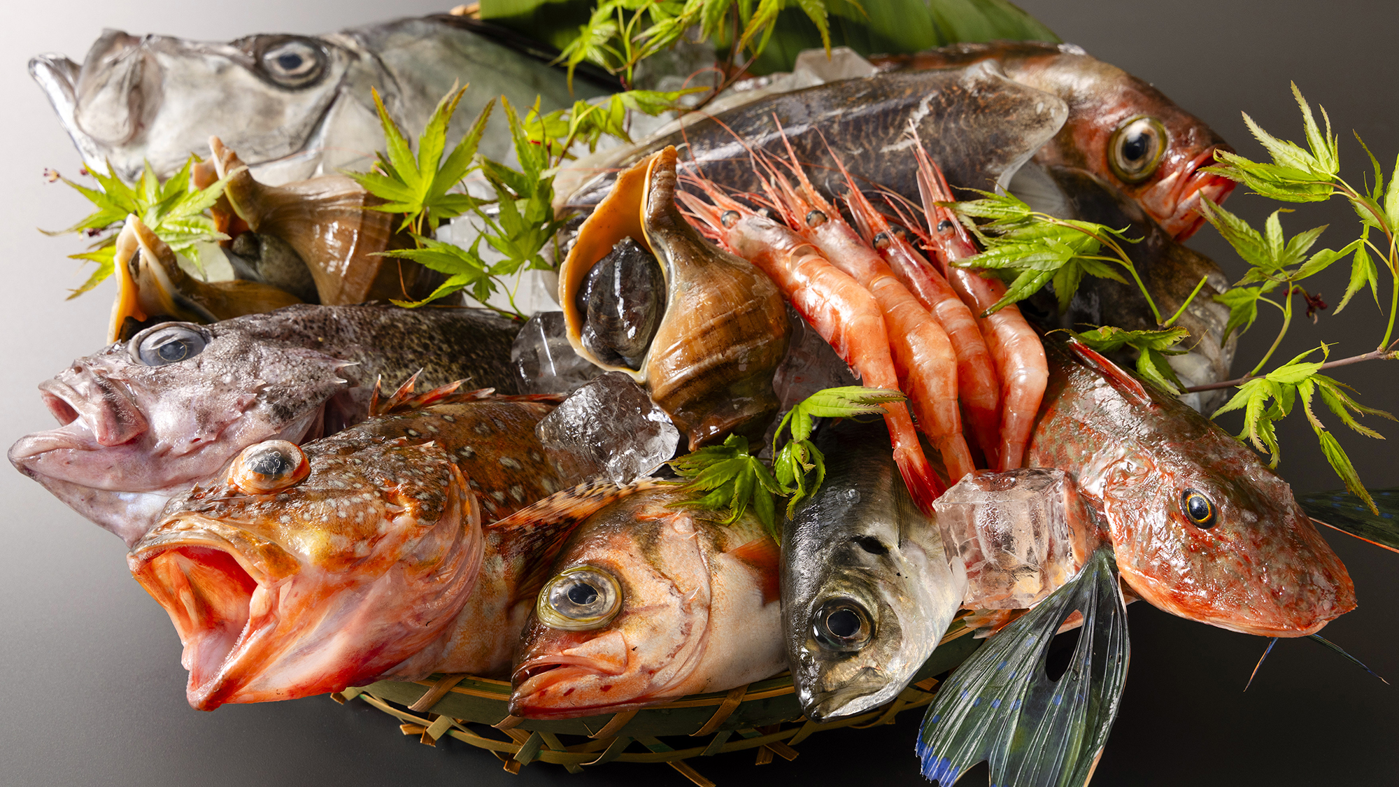 「天然のいけす」富山湾の朝獲れの幸をご提供。季節ごとに異なる楽しみがあるのも魅力です。