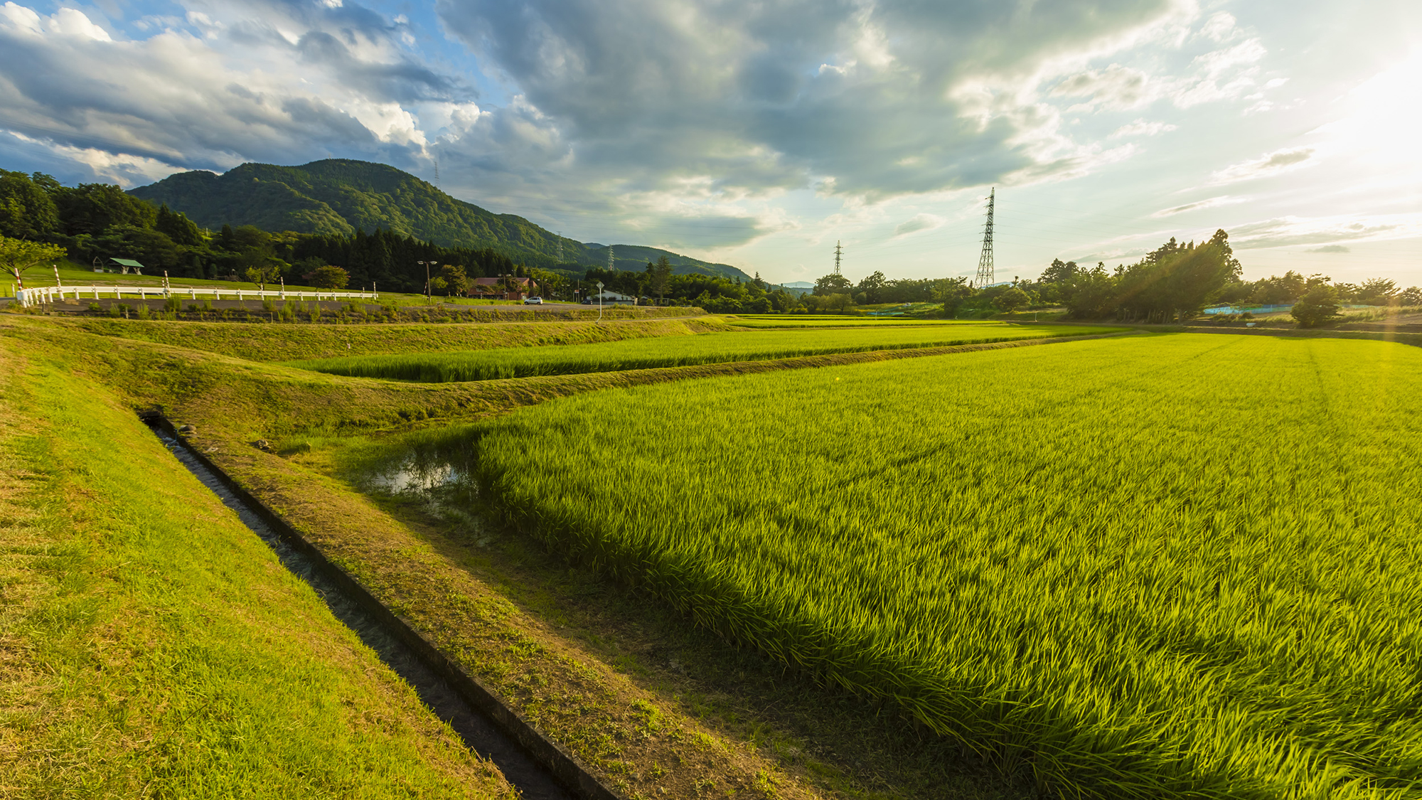 【里山の景色】大きく広がる空に、豊かな実り。日本の原風景に魅せられます。