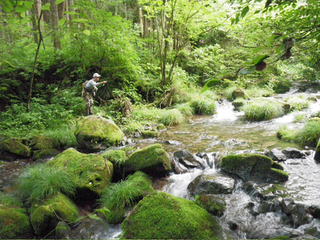 目の前に広がる秋川渓谷