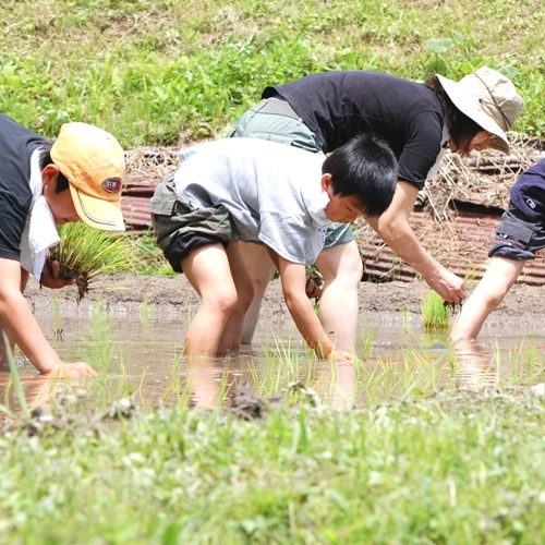 月夜野温泉 美人の湯と摘み草料理の宿 真沢の森 さなざわのもり 宿泊予約 楽天トラベル 月夜野温泉 美人の湯と摘み草料理の宿 真沢の森 さなざわのもり 宿泊予約 楽天トラベル