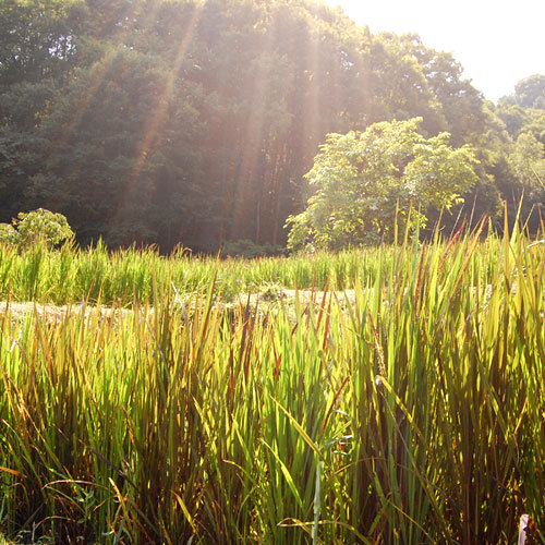 月夜野温泉 美人の湯と摘み草料理の宿 真沢の森 さなざわのもり 写真 動画 楽天トラベル 月夜野温泉 美人の湯と摘み草料理の宿 真沢の森 さなざわのもり 写真 動画 楽天トラベル