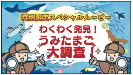 【うみたまごルーム◆1泊2食】特別映像を広いお部屋でゆっくり楽しむ♪