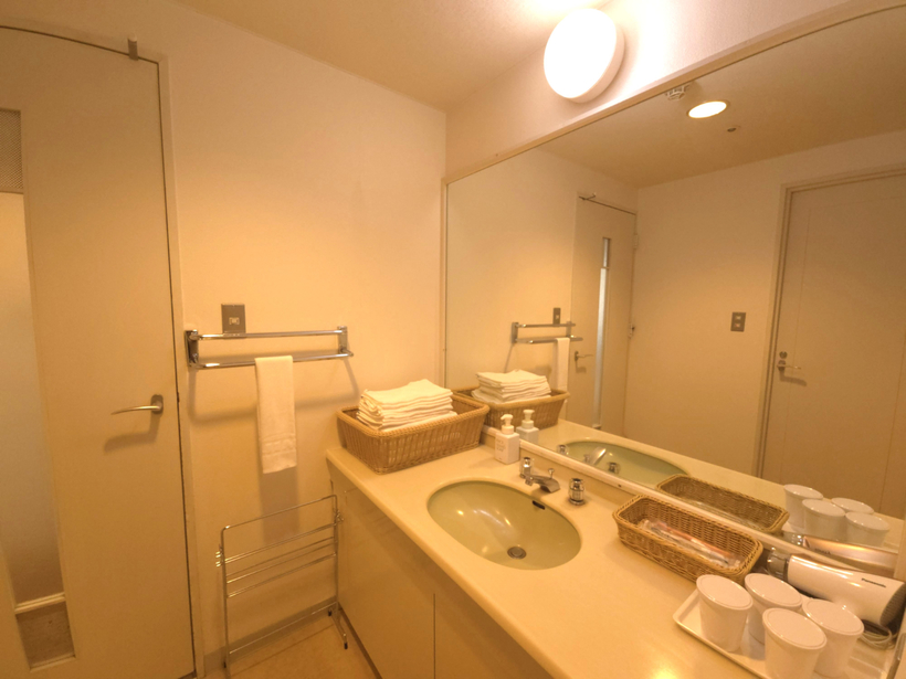 【2階和洋室(一例)】洗面所
