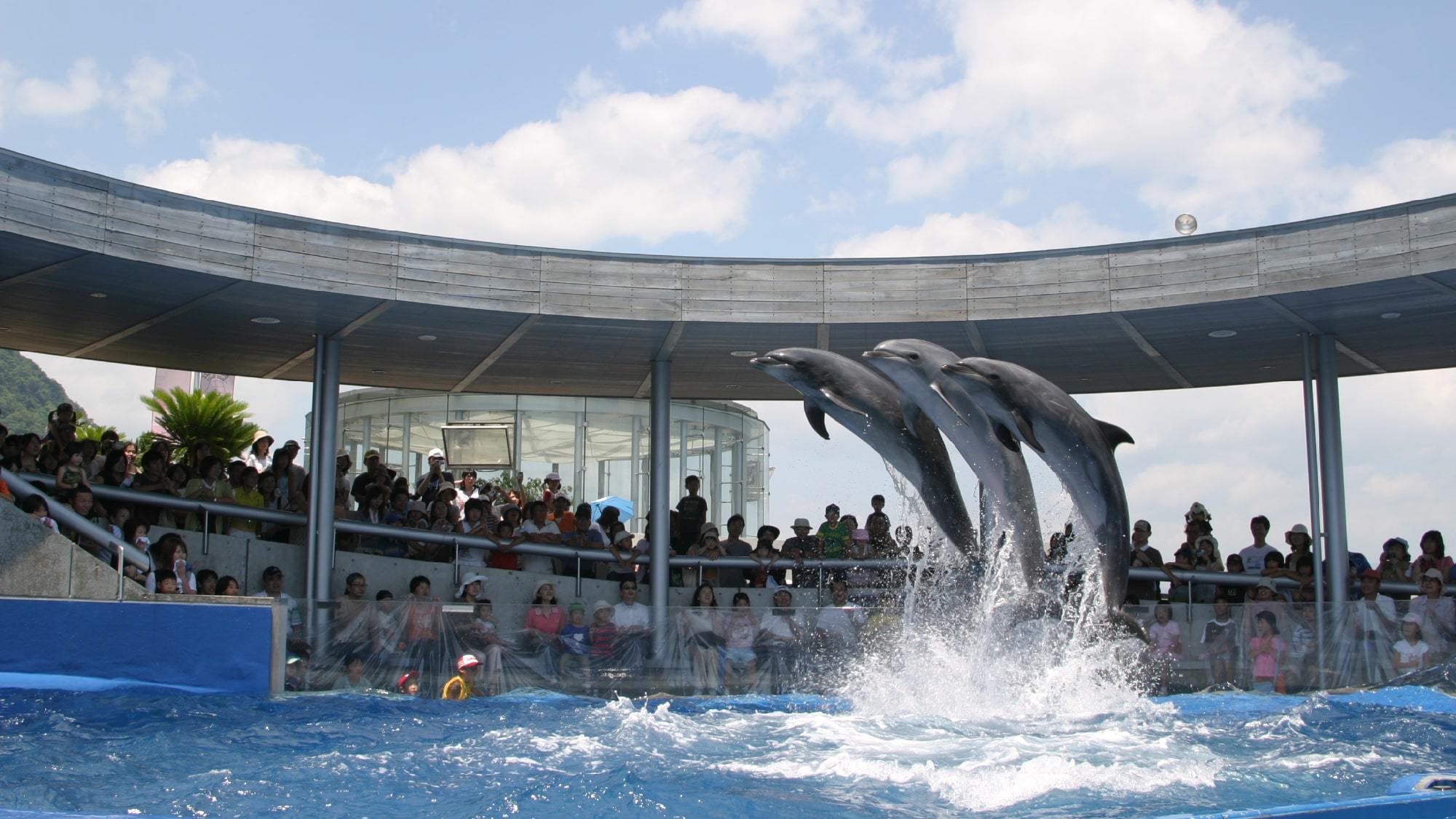 【大分観光をEnjoy】★『大分マリーンパレス水族館うみたまご』入場券付きプラン★＜1泊2食＞