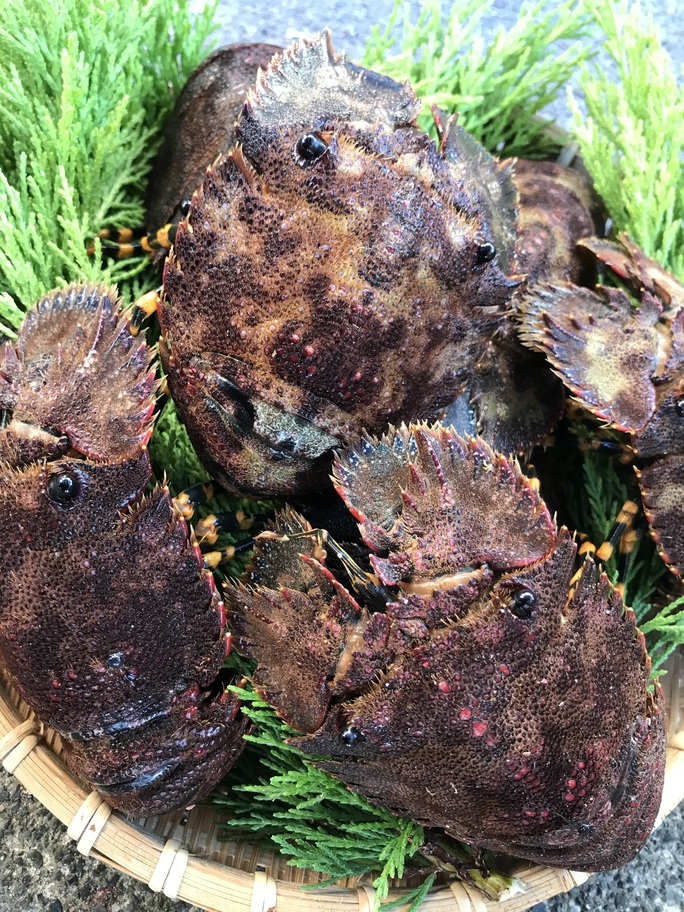 　♪スタンダードプラン♪　