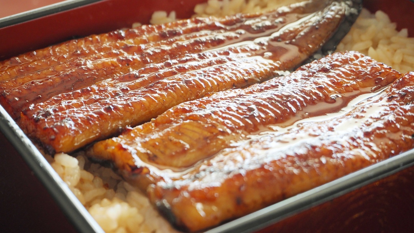 ホテルハーヴェスト浜名湖 浜松パワーフード ふっくら肉厚 タレは香ばし 浜名湖産天然うなぎ重を夕食で 17 15入店 楽天トラベル ホテルハーヴェスト浜名湖 浜松パワーフード ふっくら肉厚 タレは香ばし 浜名湖産天然うなぎ重を夕食で 17 15入店 楽天トラベル