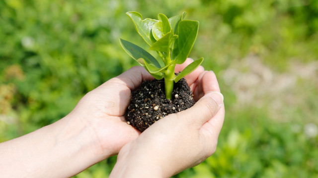 【エコプラン】清掃不要でお得に！アメニティの交換はいたします。