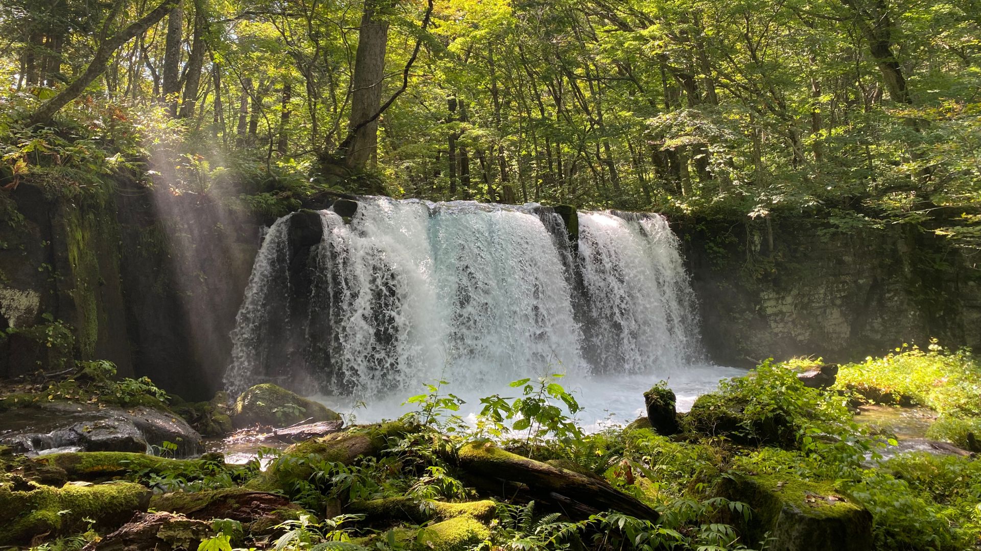 【銚子大滝】奥入瀬渓流本流にかかる最大の名瀑です！