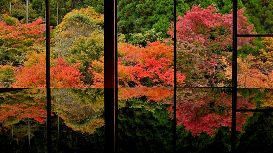 環境芸術の森