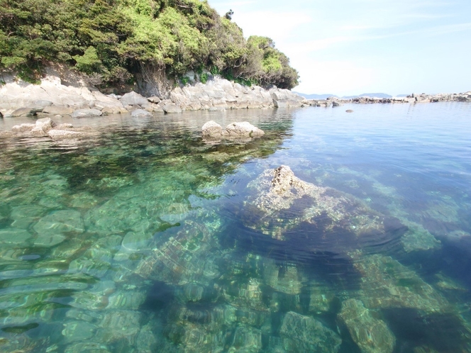 鳥島の海