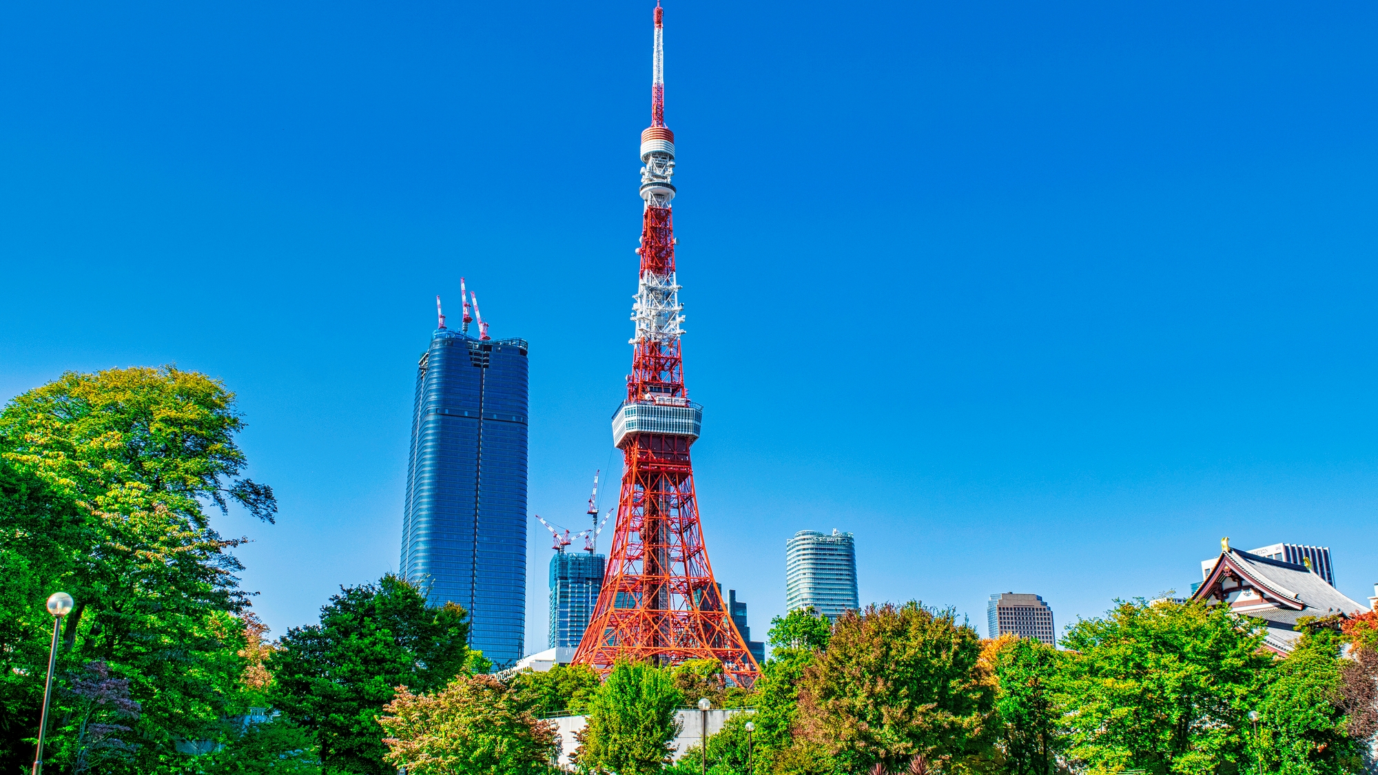 【当館から徒歩２０分】展望台から東京の街並みを一望できる、日本のシンボル「東京タワー」