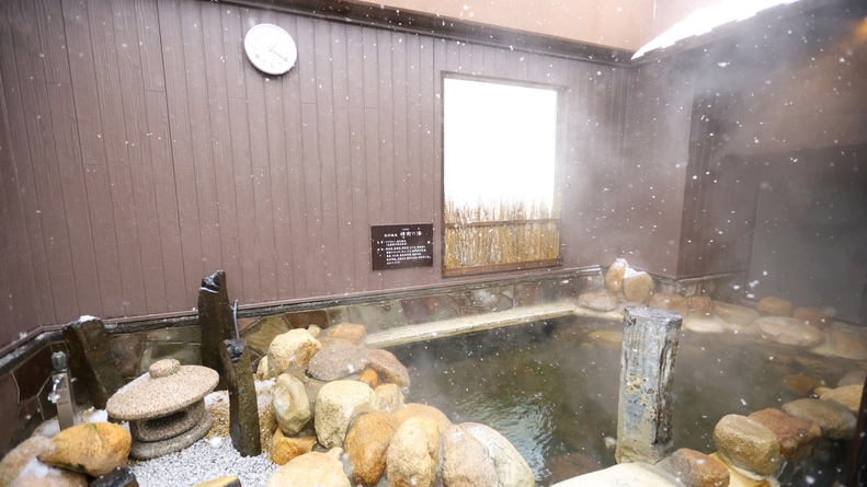 室数限定【リニューアルオープン記念♪】おトクプラン！《素泊り》