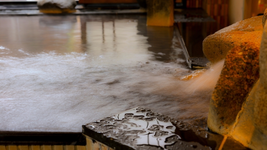 【２８日前割引】室数限定！早期予約プラン♪《素泊り》