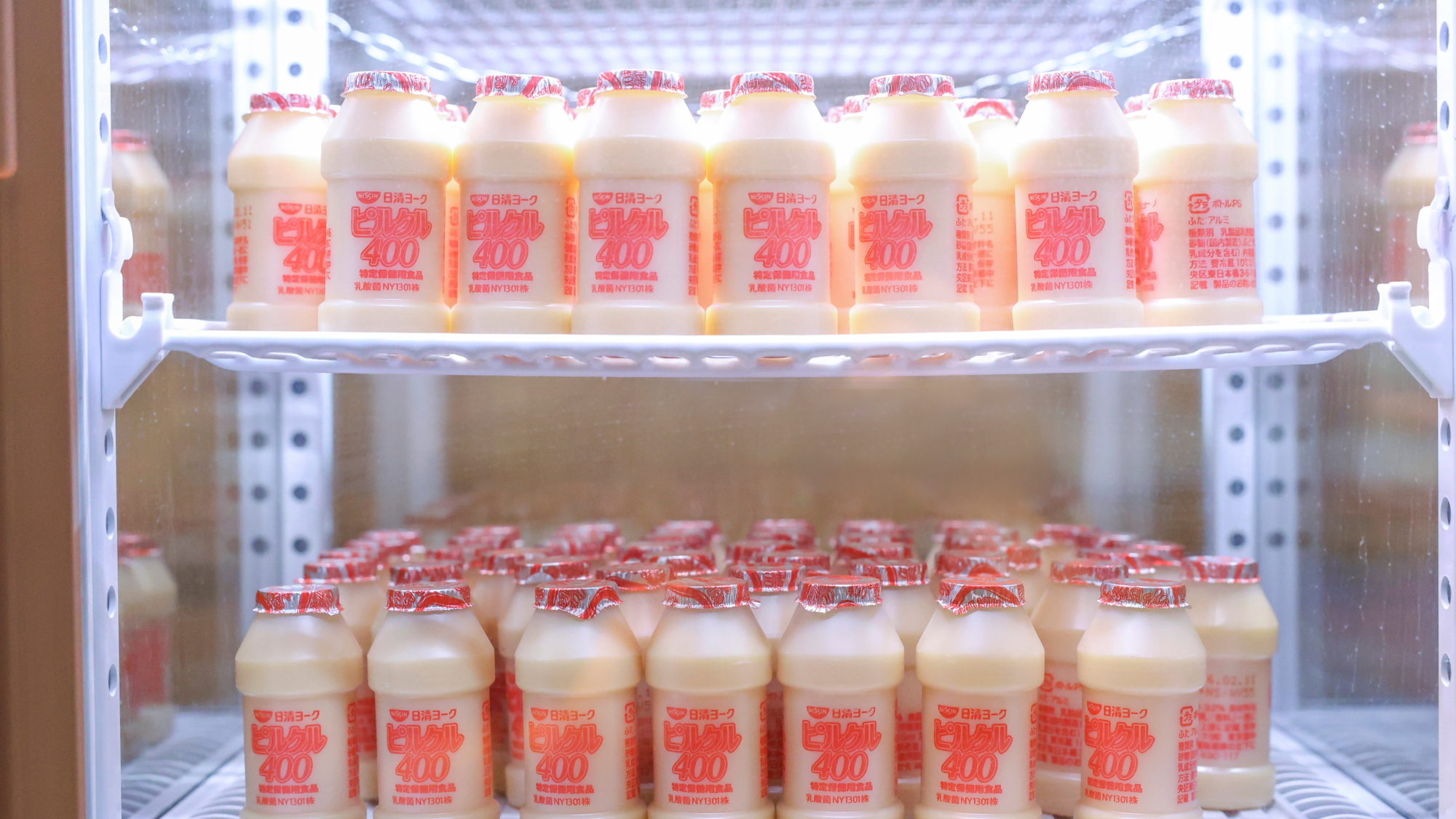 乳酸菌サービス