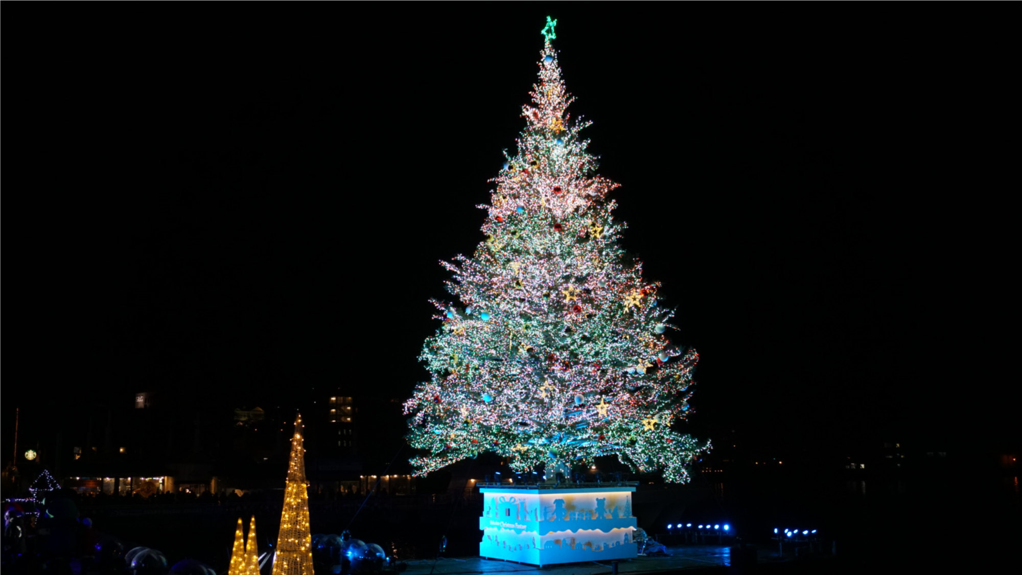 巨大ツリーのライトアップと花火を楽しむクリスマスファンタジープラン（観光タクシー60分付）【朝食付】