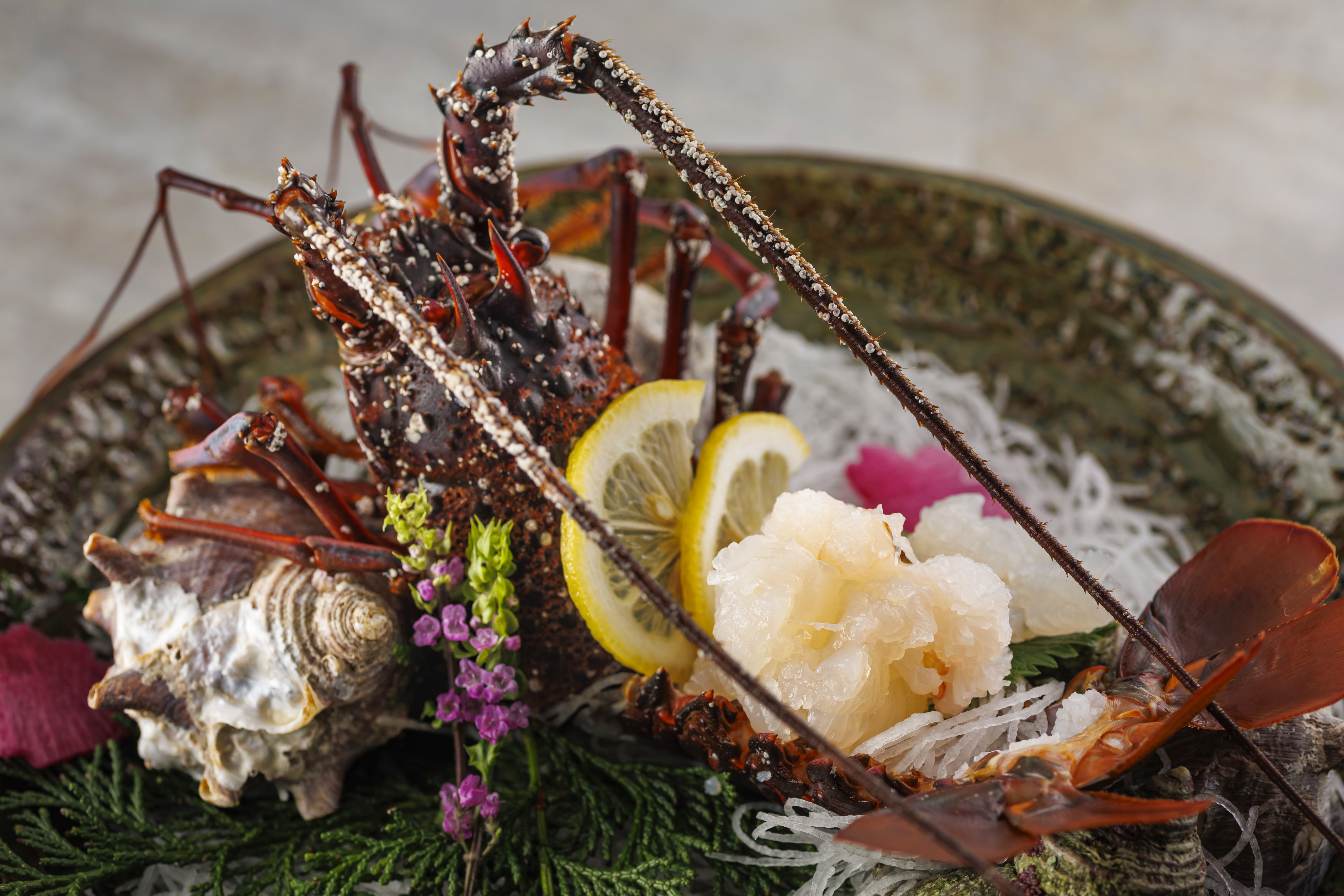 お料理　イメージ