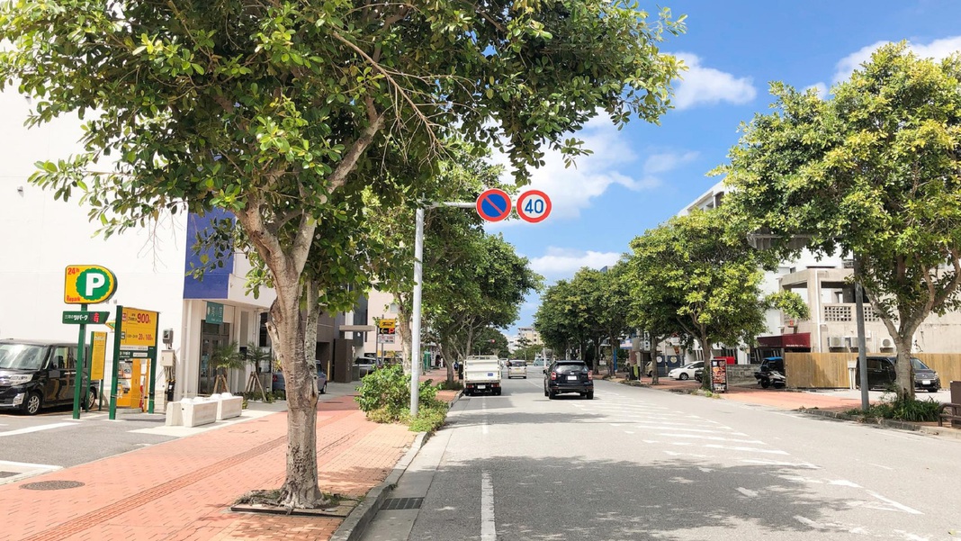 【第1駐車場までの道⑥】建物4,5件直進します