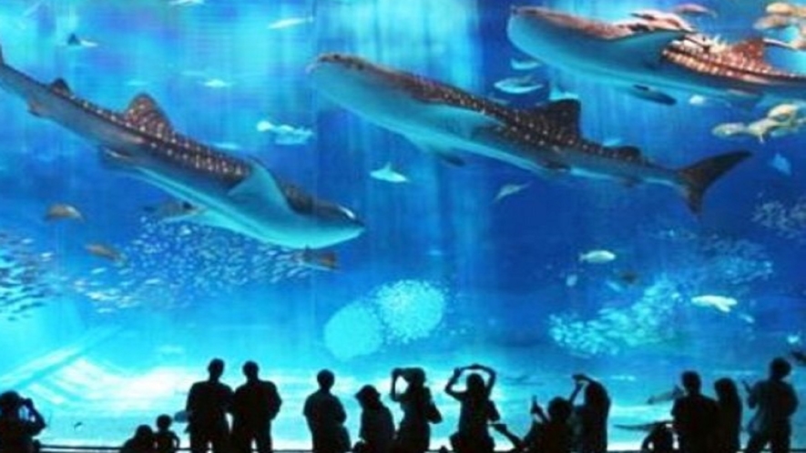 美ら海水族館