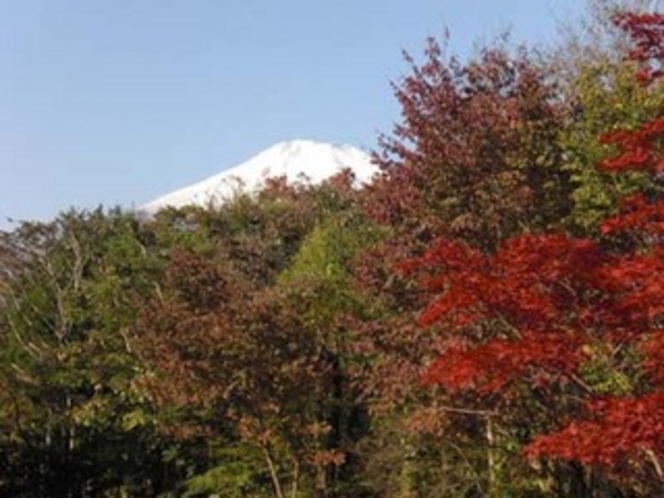 紅葉と富士山