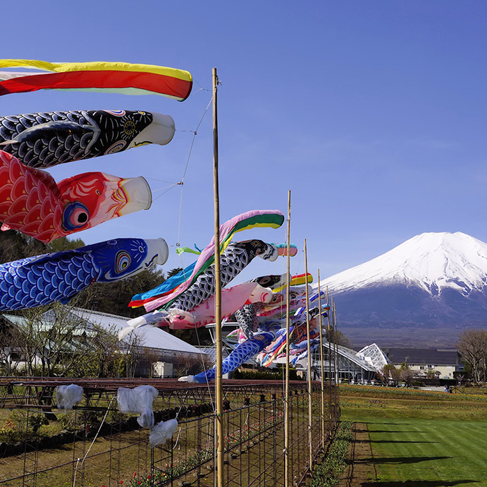 5月の山中湖