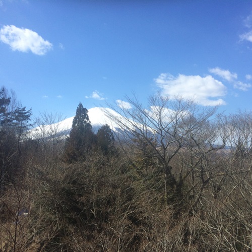 当館からは富士山が綺麗に見えます