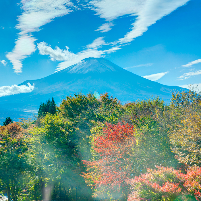 秀山荘からは富士山を綺麗に見ることができます。