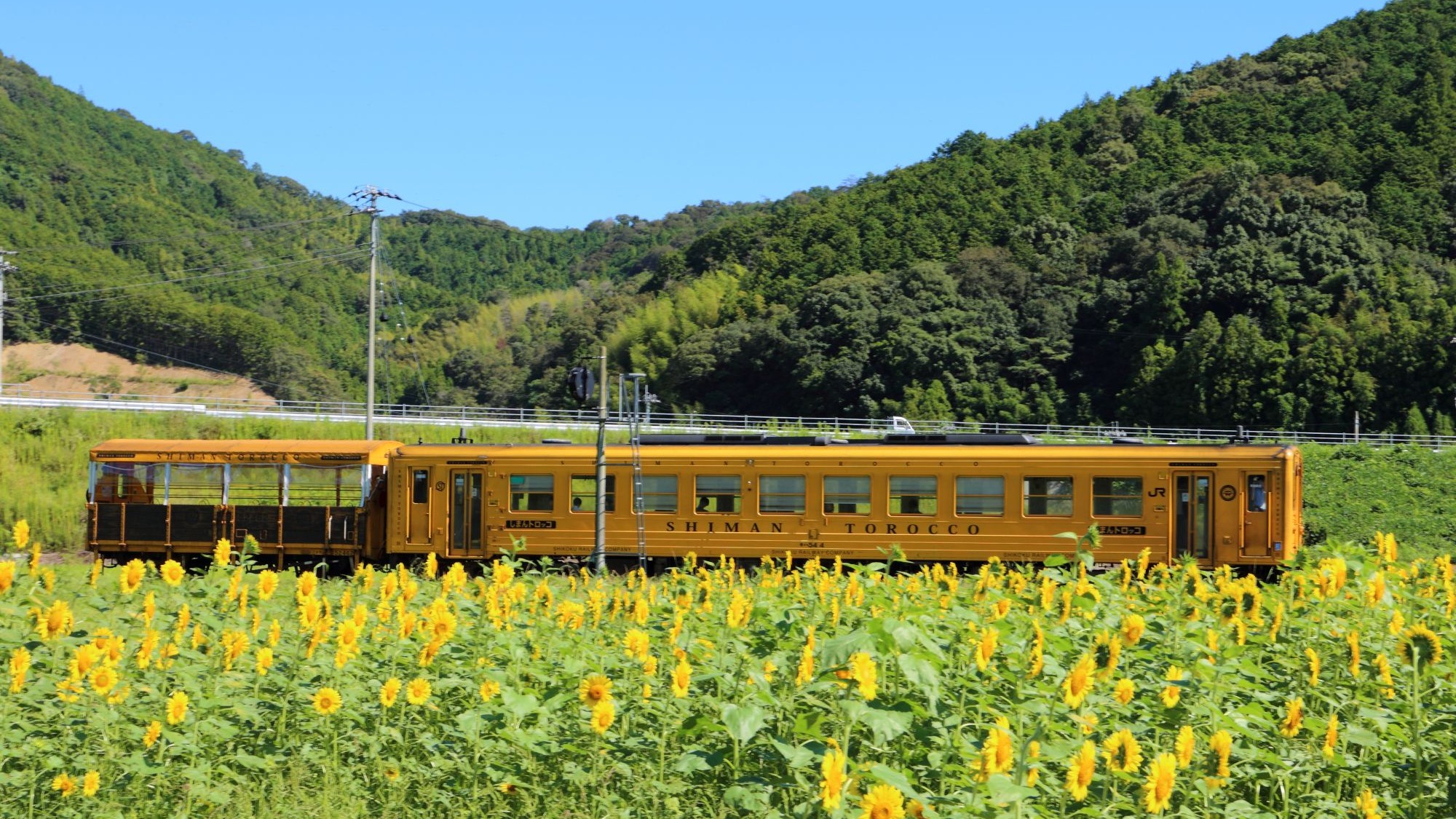 しまんとろっこ列車