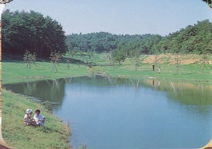 中央公園