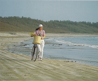 近くの海岸