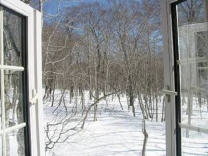 ツインルーム窓からの雪景色