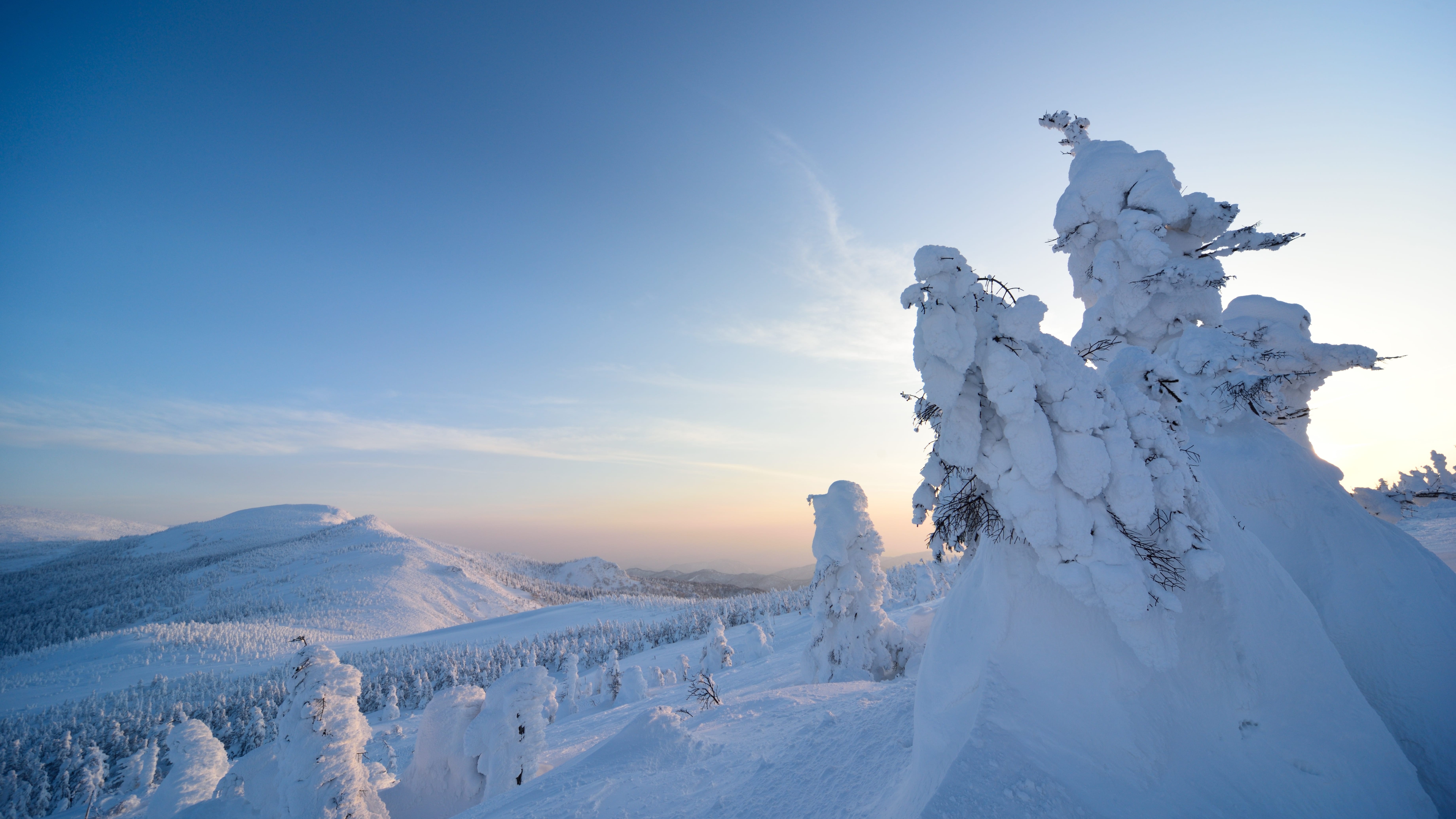 【宮城観光】宮城蔵王の樹氷　ホテルから車で90分　写真提供：宮城県観光戦略課