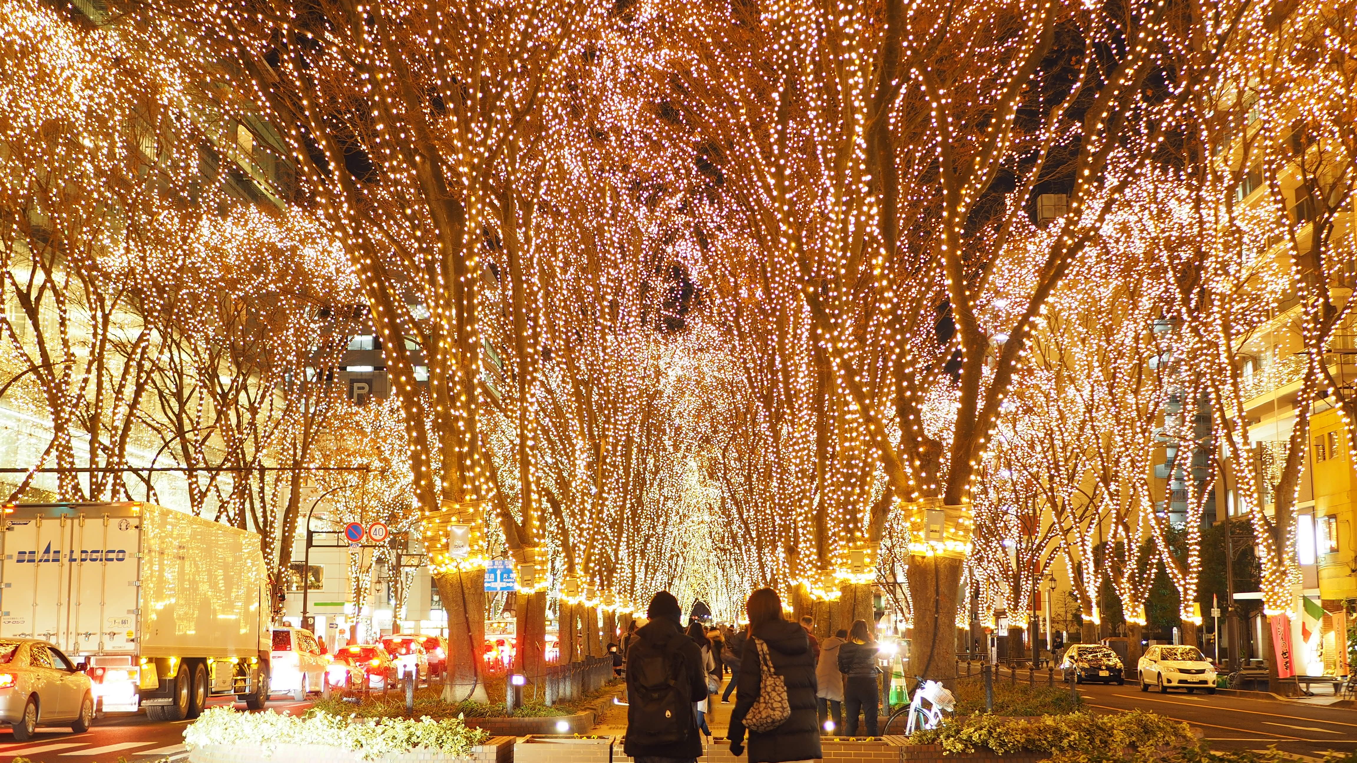 【仙台イベント】仙台光のページェント（12月）　写真提供：宮城県観光戦略課